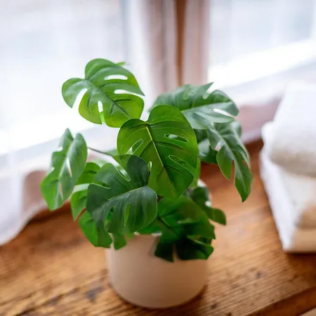 Appartement Schwaigermuehle *